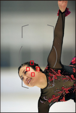 D810群组对焦模式