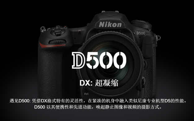 尼康D500