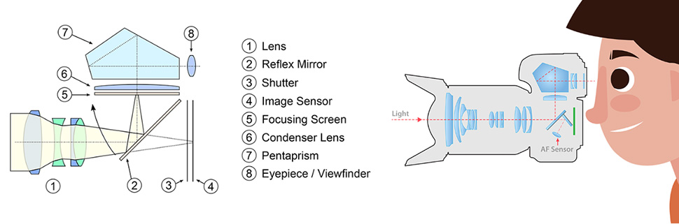 单反相机光路