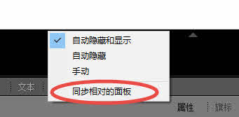 Lightroom同步相对的面板