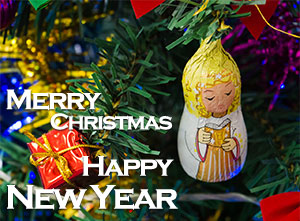 Happy New Year