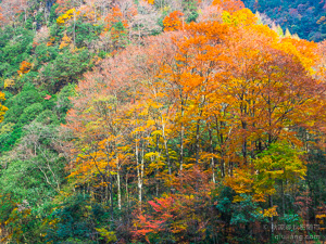 光雾山