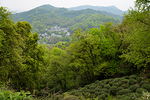 南高峰