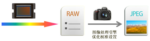 RAW与JPEG的成像原理