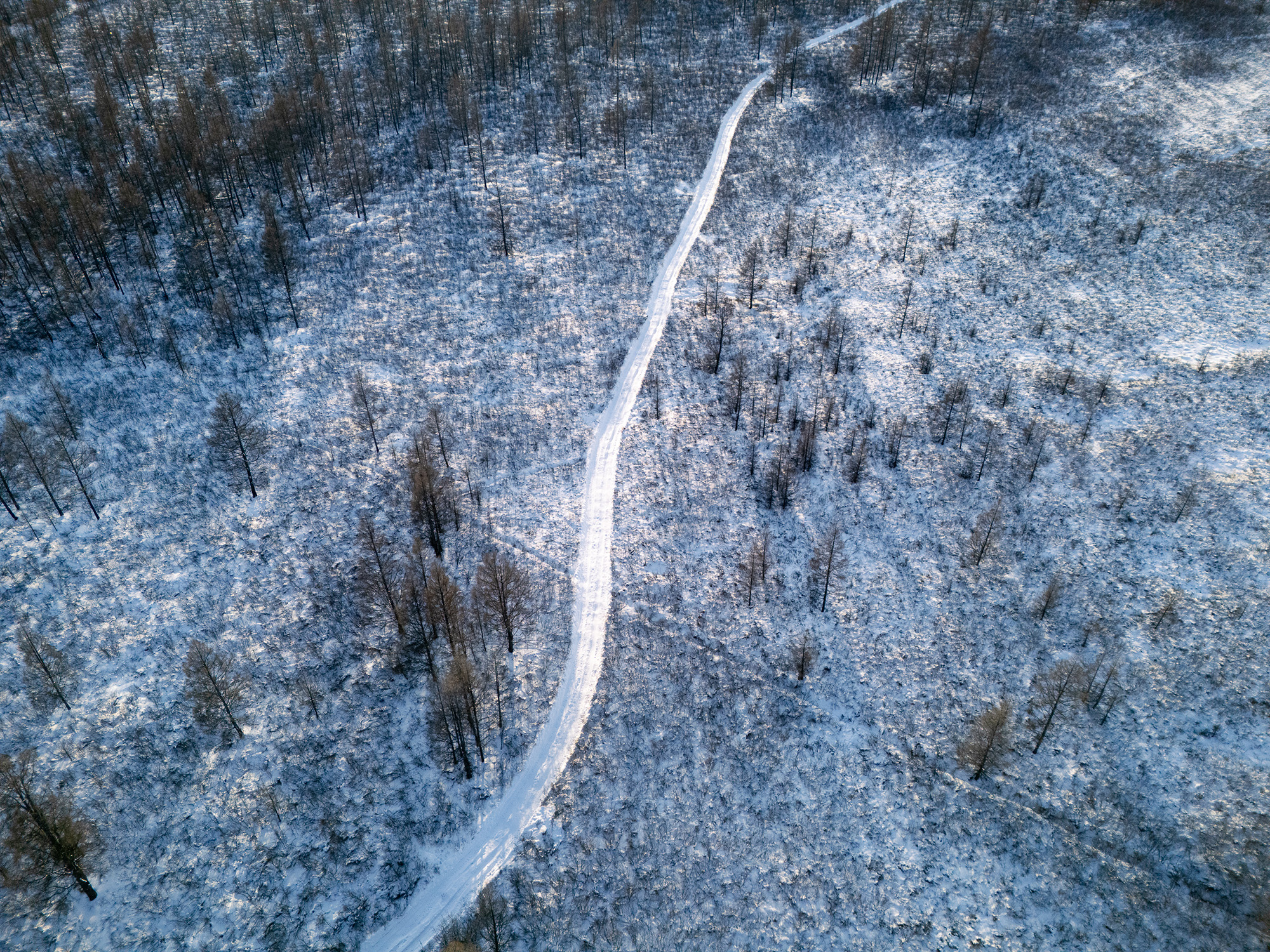 根河林海雪原