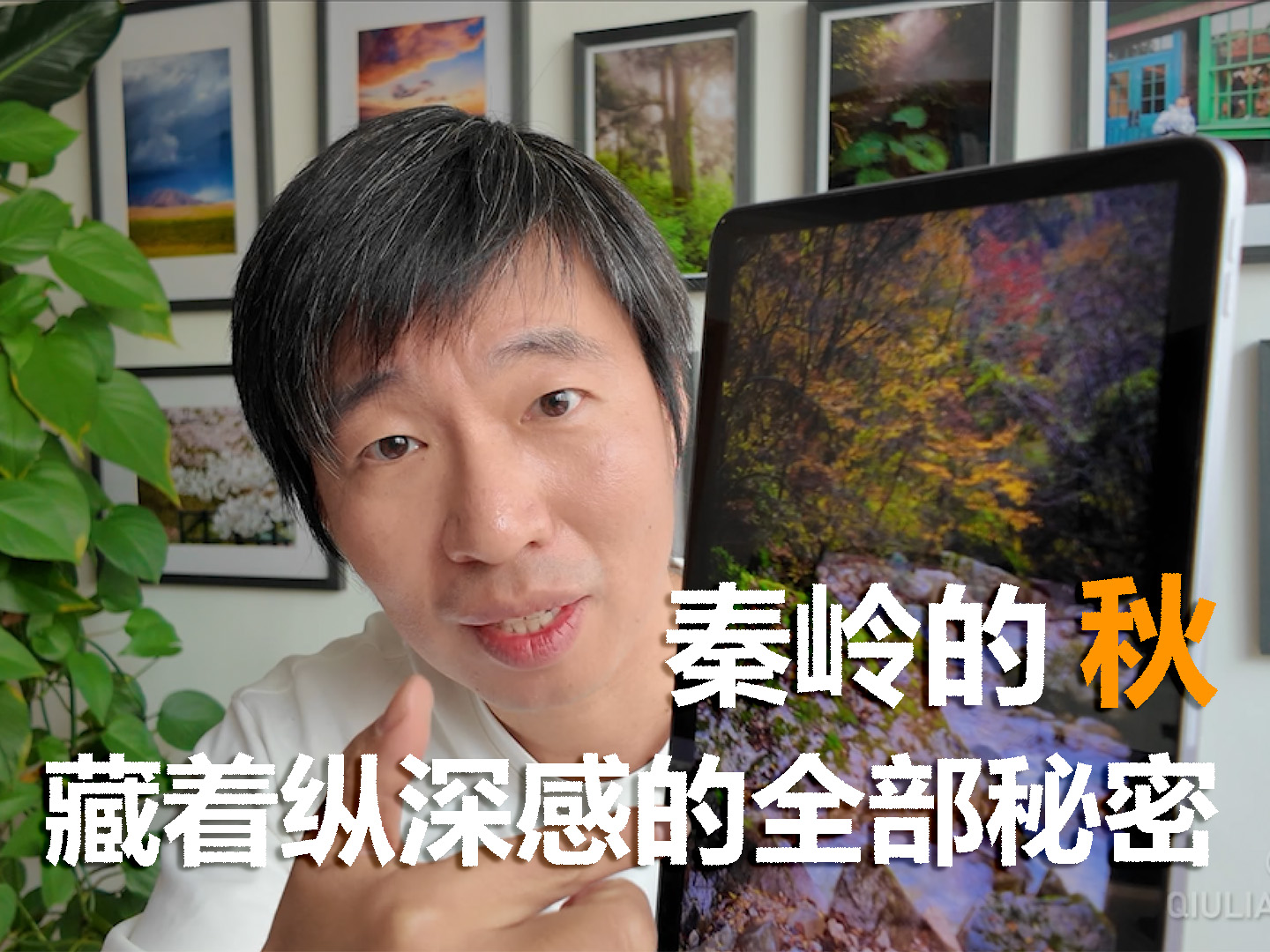 秦岭的秋，藏着纵深感的全部秘密