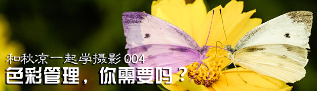 和秋凉一起学摄影004