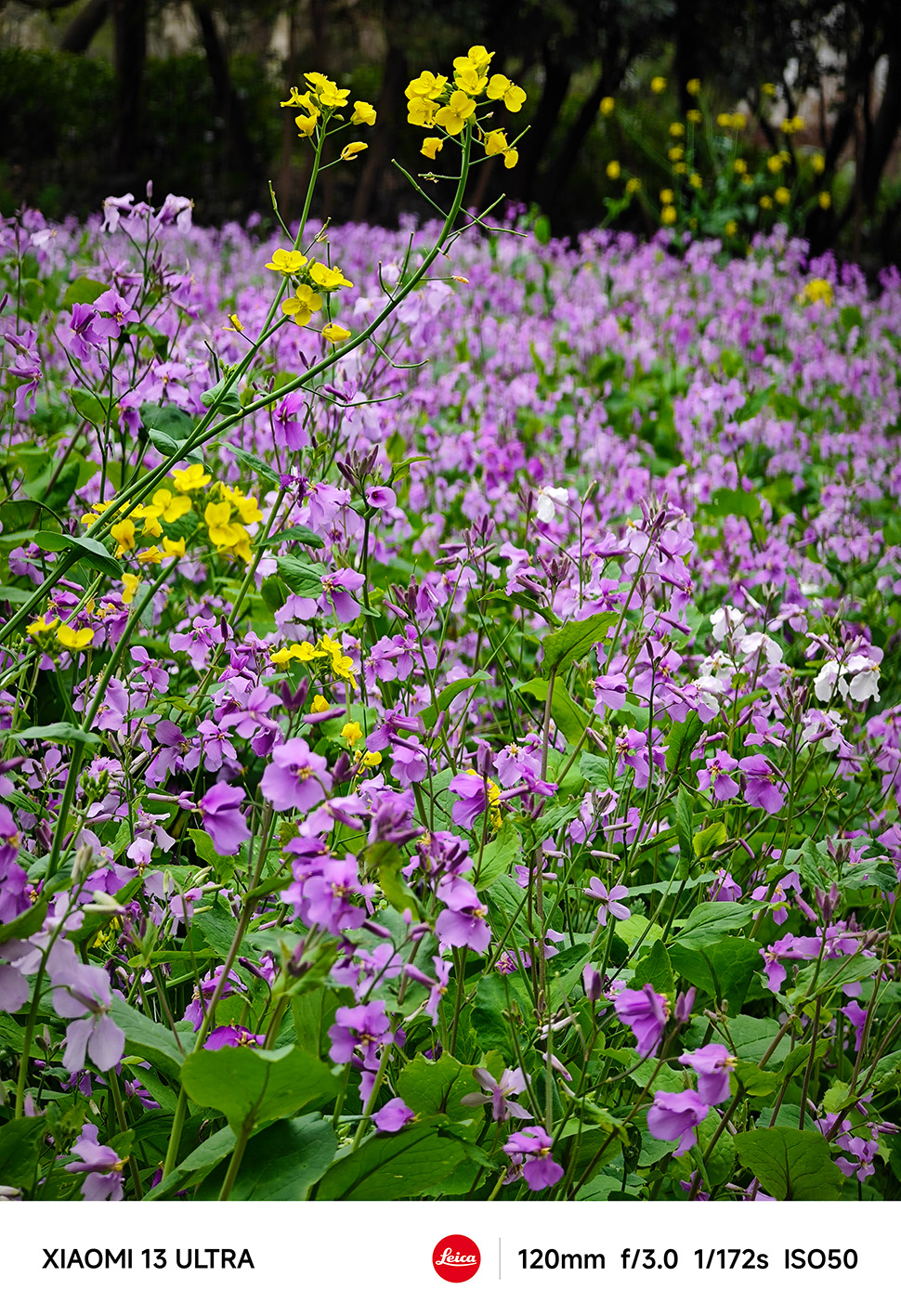 120mm 长焦 B