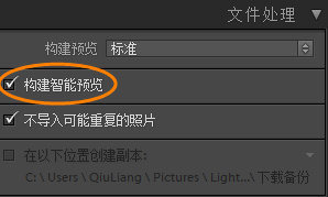 Lightroom智能预览