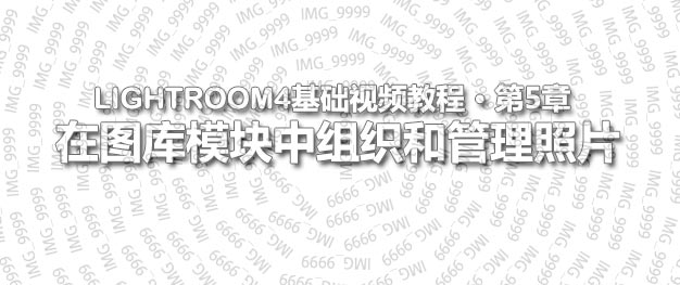 Lightroom4基础视频教程第5章
