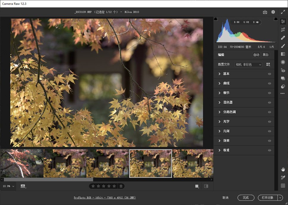 Camera RAW 2020新界面