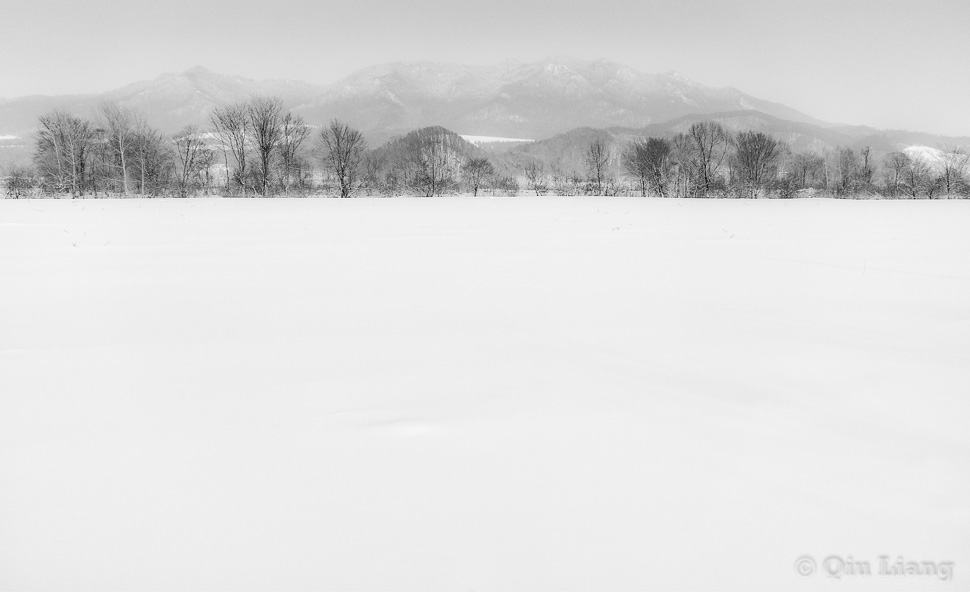 低清晰度版本的雪地