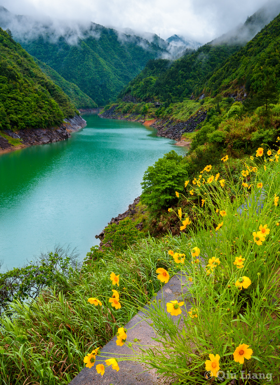 花与湖