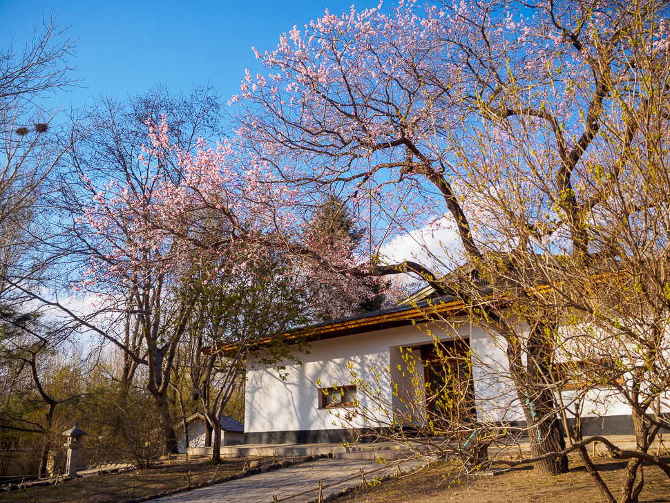 太阳岛