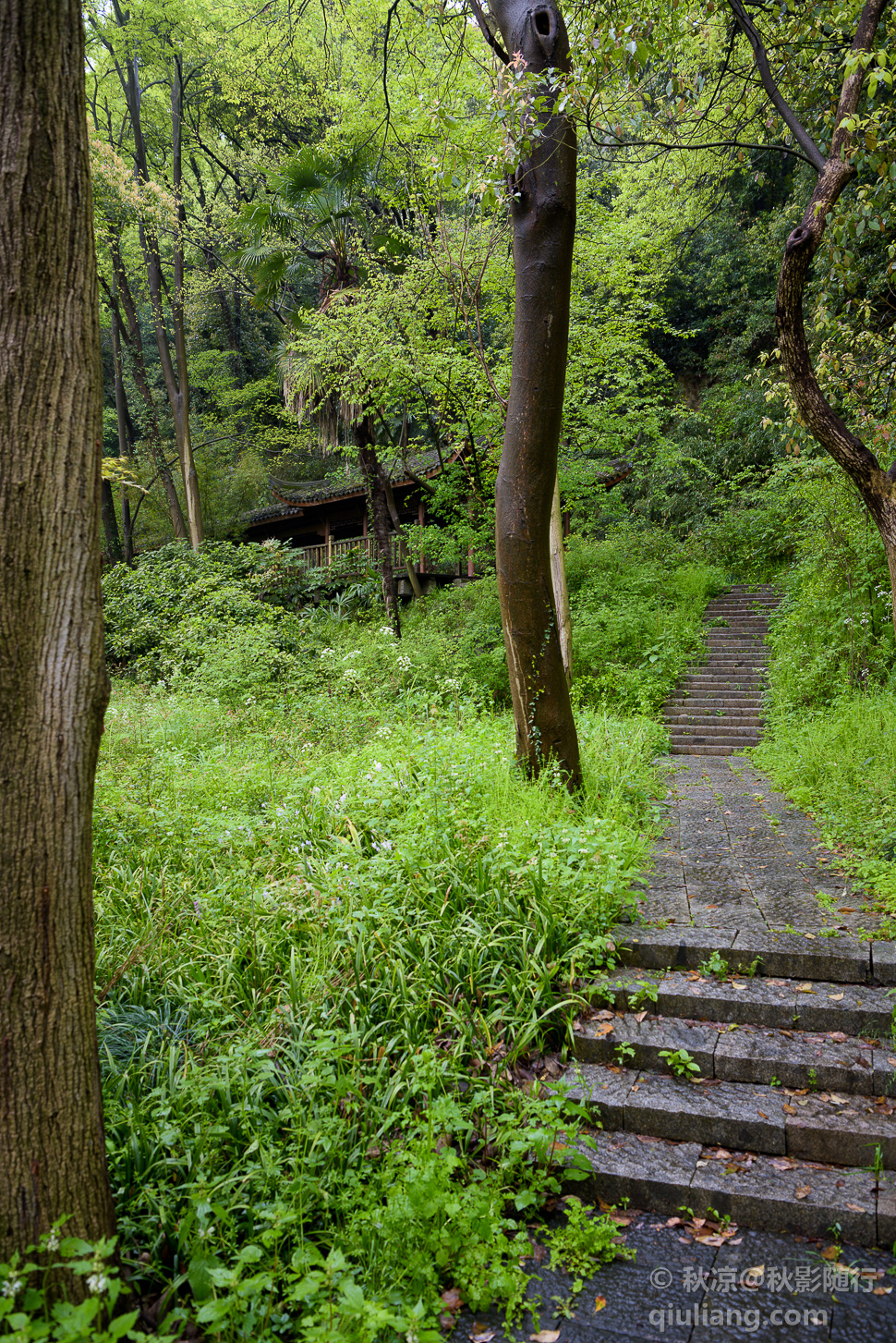 登南高峰山路