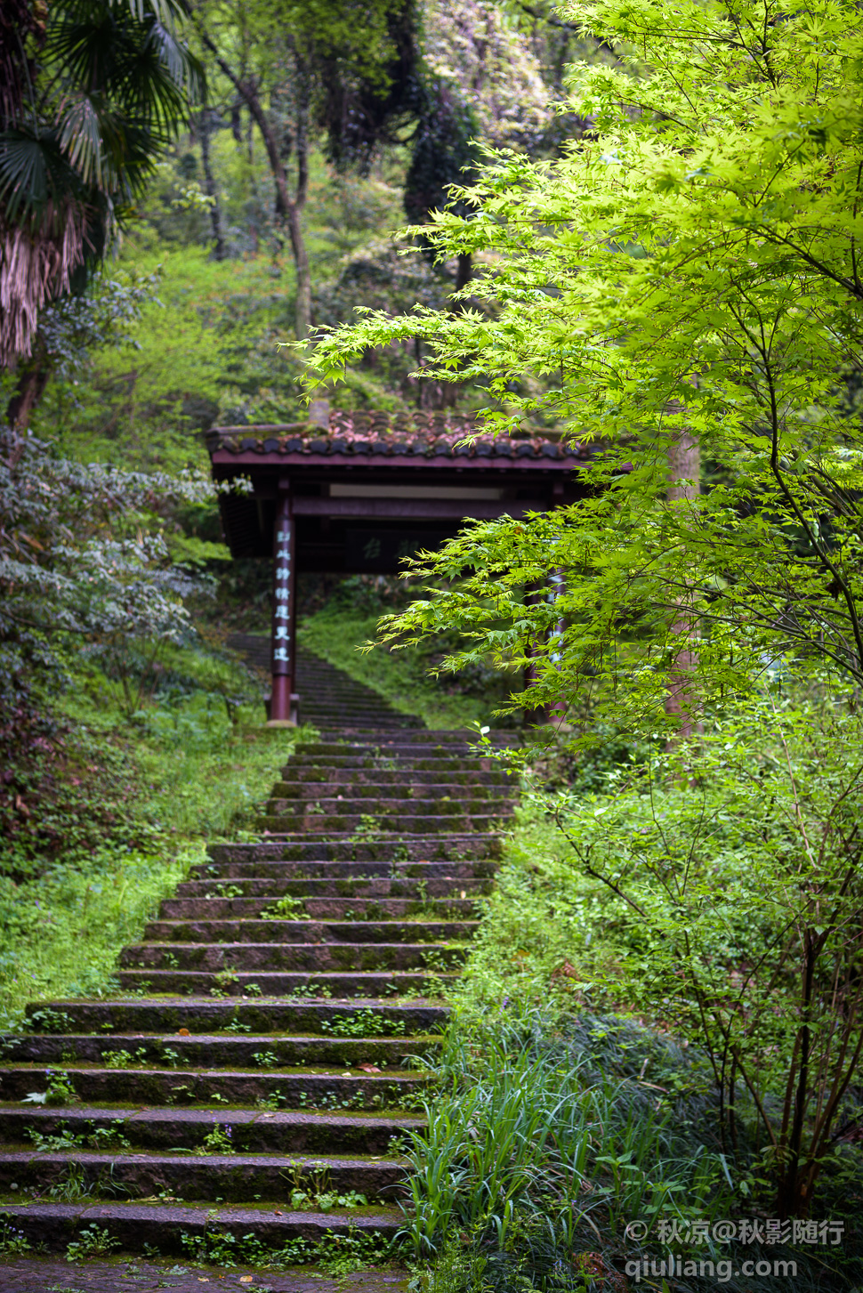 登南高峰山路