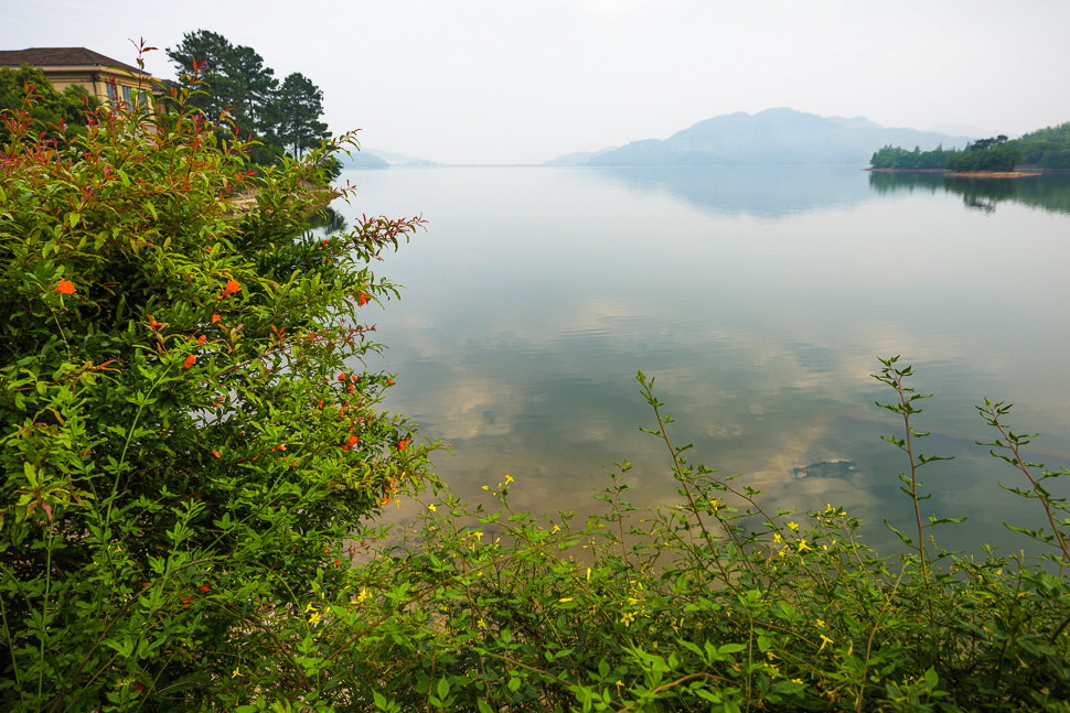 繁花与四明湖