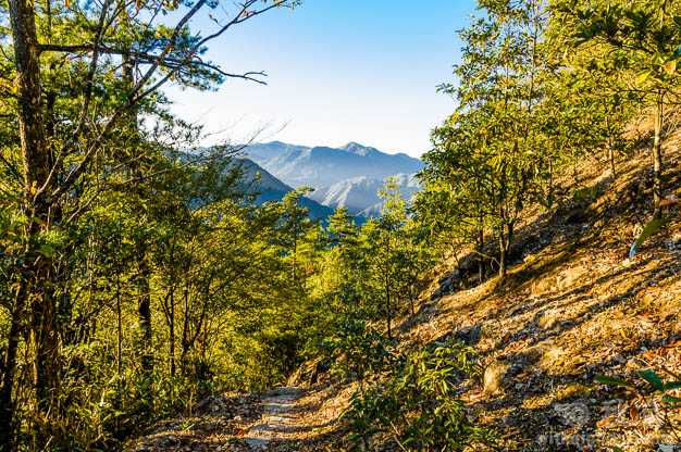 麻连岱到凤阳山防火便道