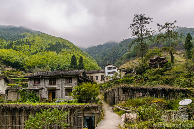 麻连岱