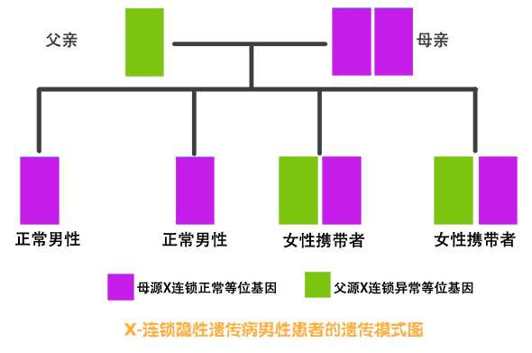 男性X连锁隐性遗传病患者的遗传模式图