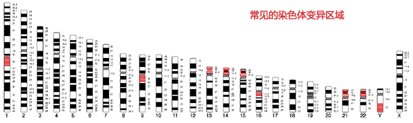 常见染色体变异区域